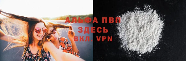 эйфоретик Карпинск
