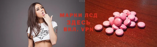 PSILOCYBIN Карталы