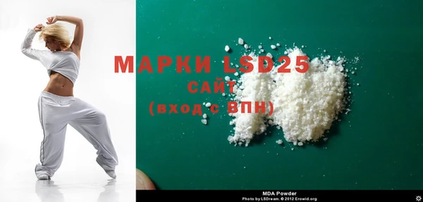 PSILOCYBIN Карталы