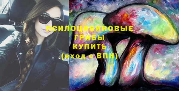 PSILOCYBIN Карталы