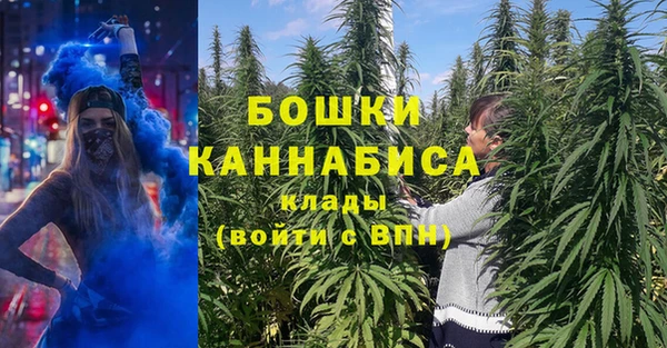 эйфоретик Карпинск