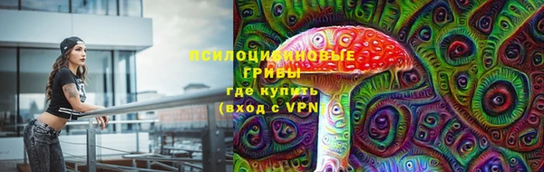 PSILOCYBIN Карталы