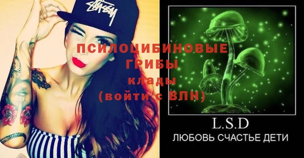 эйфоретик Карпинск