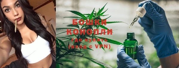 бошки Касимов