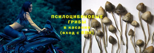 PSILOCYBIN Карталы