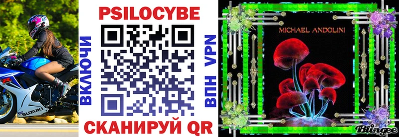 Галлюциногенные грибы Psilocybe Купить где Курчалой