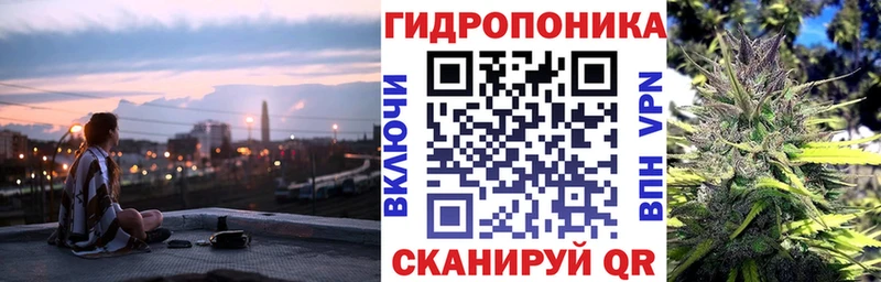 Купить закладки Курчалой Конопля тримм